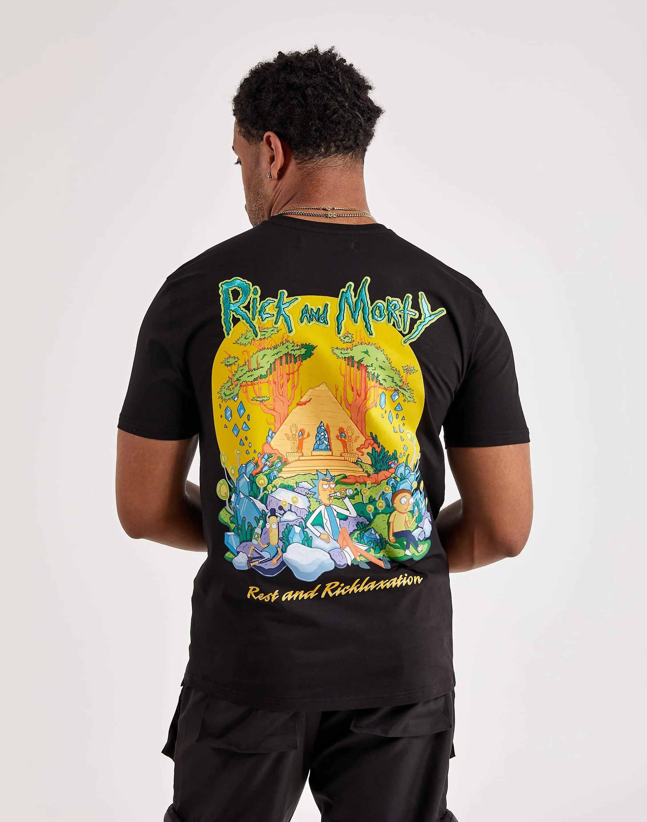 Central Mills Rick and Morty Picnic Tee