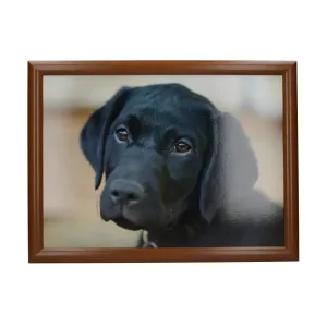 Creative Tops Labrador Dog Lap Tray