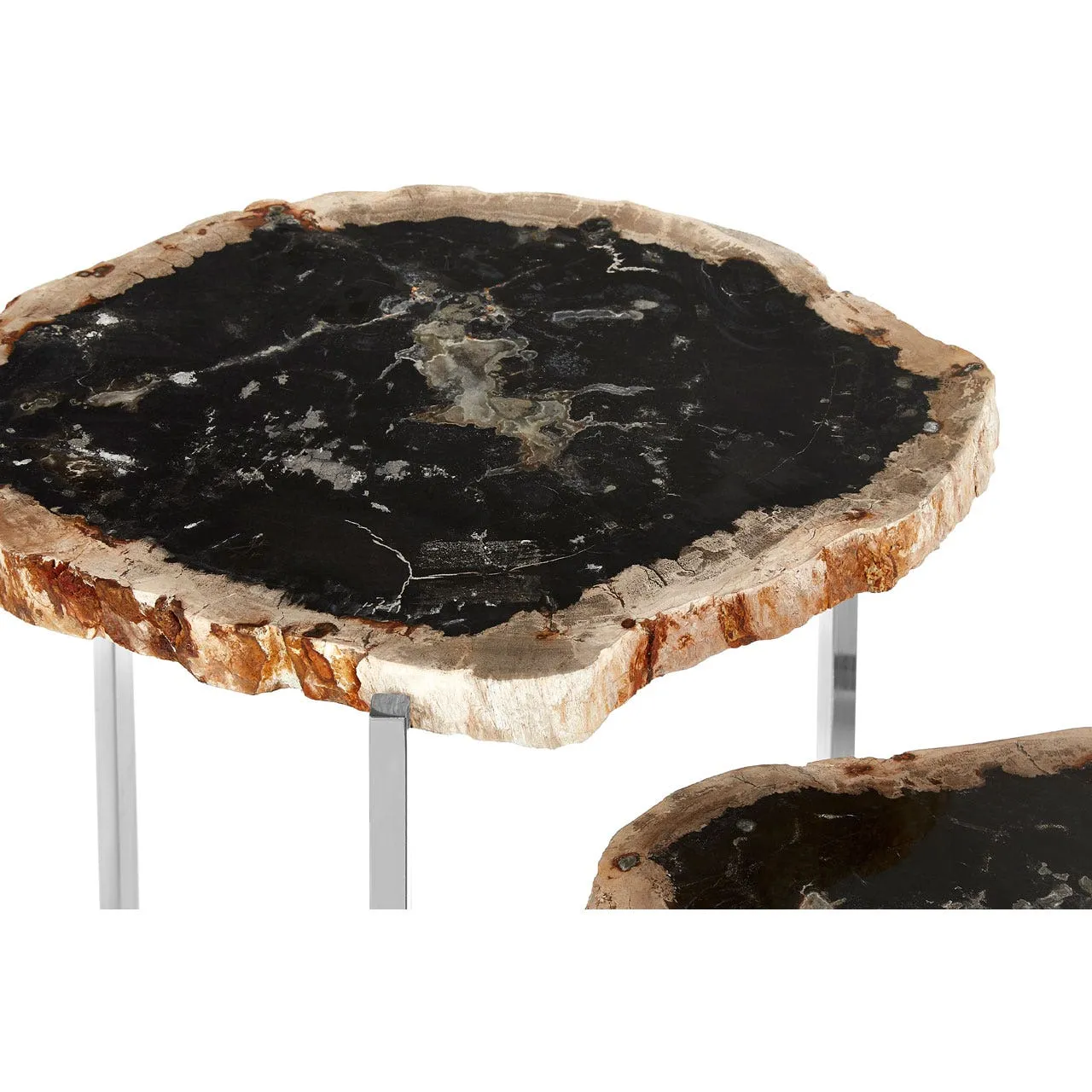 Relic Set of 3 Dark Petrified Wood Tables